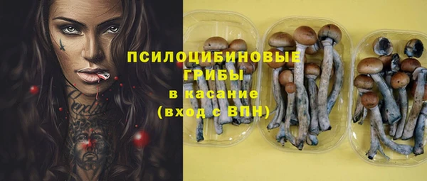 индика Гусь-Хрустальный