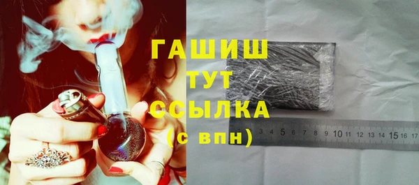 индика Гусь-Хрустальный