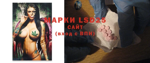 индика Гусь-Хрустальный