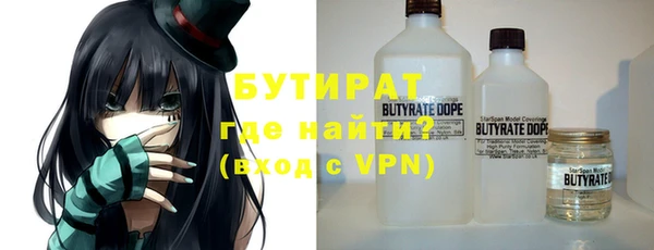 индика Гусь-Хрустальный