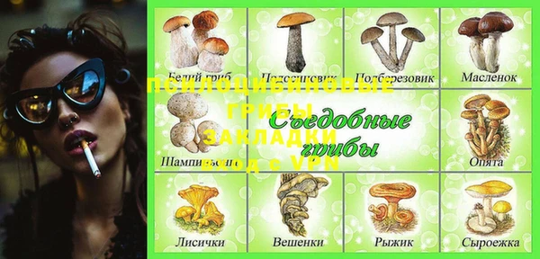 индика Гусь-Хрустальный