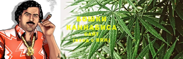 индика Гусь-Хрустальный