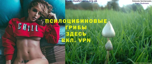 индика Гусь-Хрустальный
