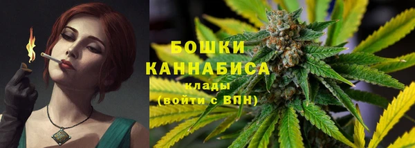 индика Гусь-Хрустальный
