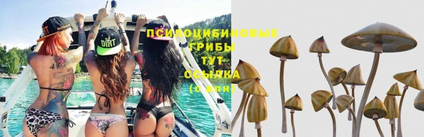 MDMA Premium VHQ Дмитровск