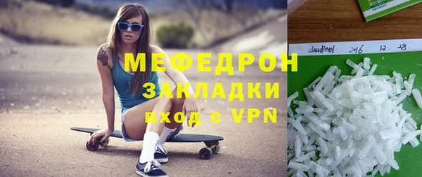 индика Гусь-Хрустальный